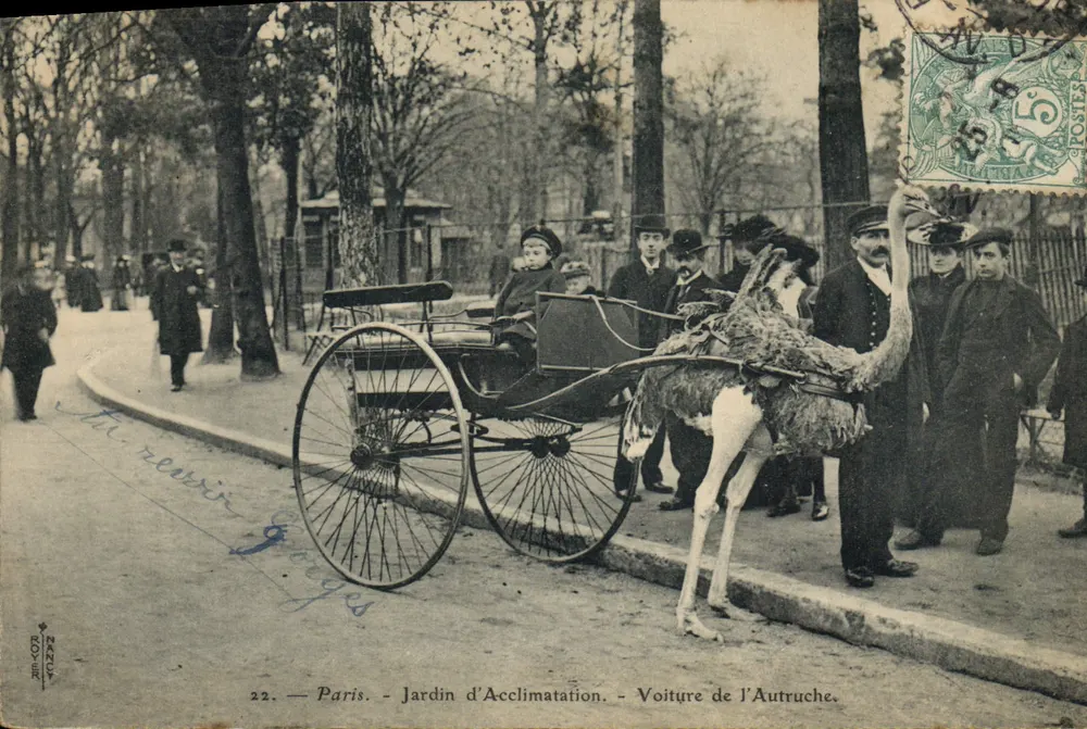 Paris - Jardin d'Acclimatation - Ostrich-Wagen - Vorderseite