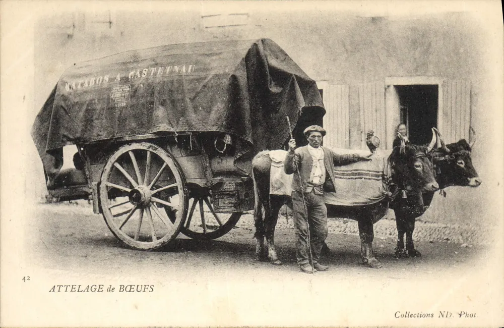 Atrelado de bois — Castelnau — Collections N.D. Phot, n°42 - Frente