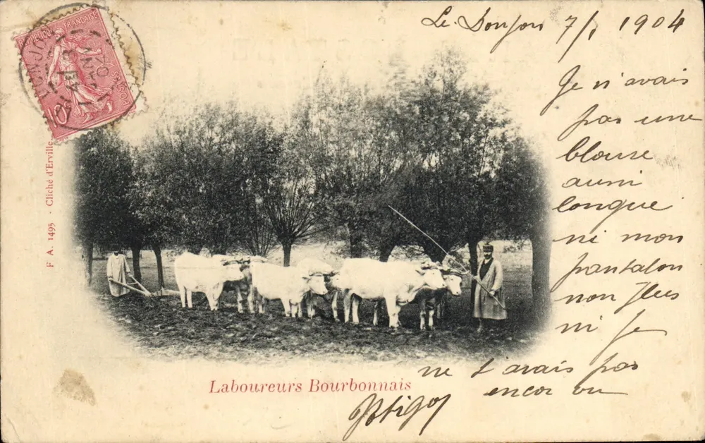 Laboureur Bourbonnais — scène de travail avec vaches — Cliché d'Erville, n° 1495 - Frente