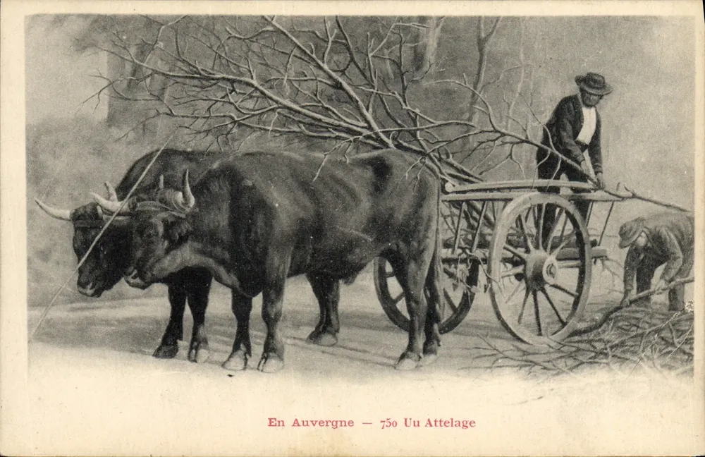 Em Auvergne — 750 Uu Attelage — Edit. P. et A. Malroux - Frente