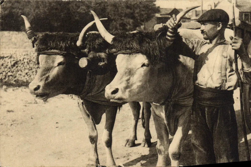 Atrelado de touros — Tipo Basco — Héliogravure Marcel Delboy - Frente