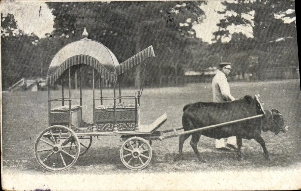 Carroça puxada por uma vaca — Paris — Staerck, Paris - Frente