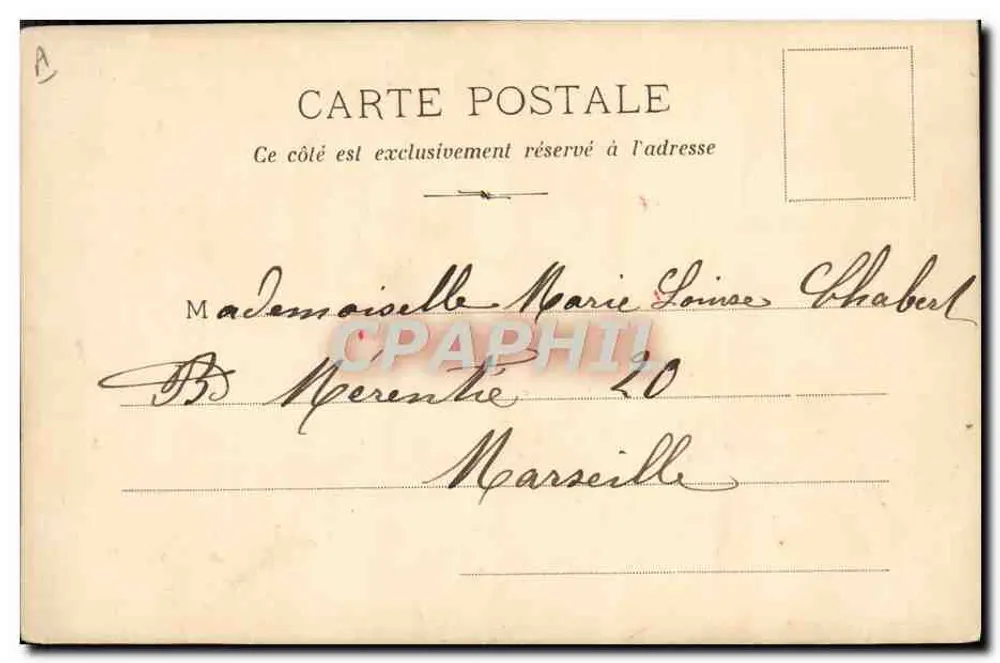 Ansichtskarte mit Blumenmotiven — handschriftlicher Text — Verlag nicht sichtbar - Rückseite