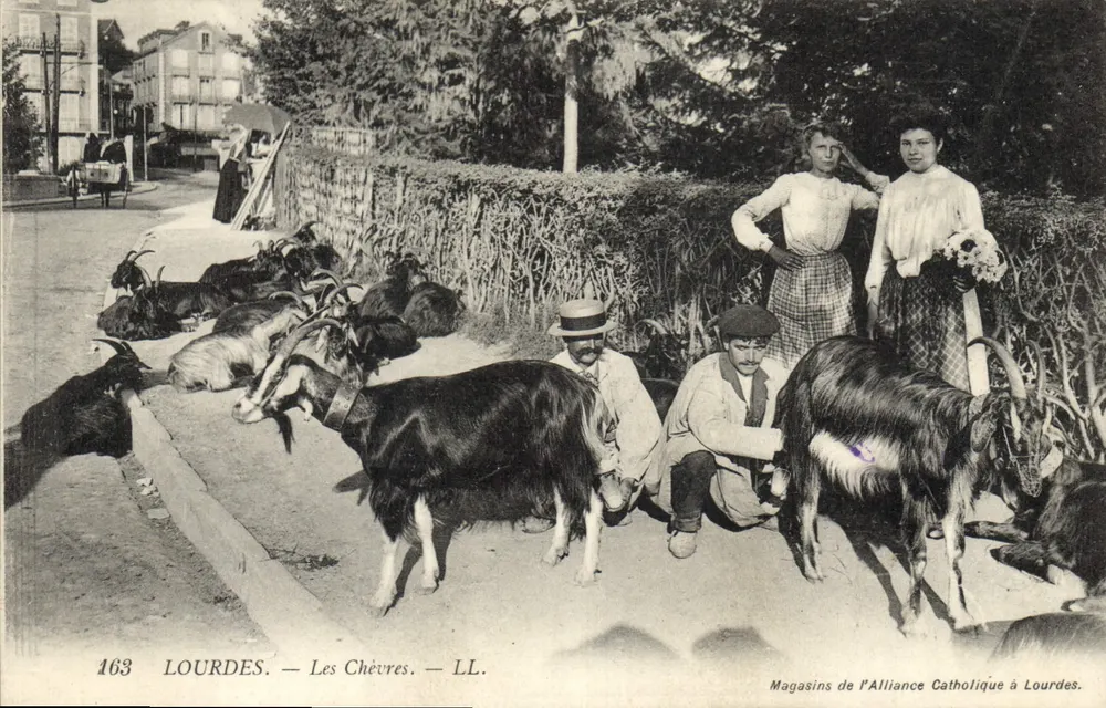 Lourdes — As Cabras — Lojas da Aliança Católica em Lourdes - Frente