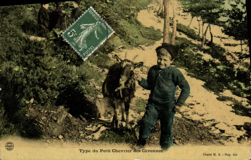Tipo do Pequeno Criador das Cévennas — O Velay Ilustrado n°316 — Cliché M. B. - Rep. int. - Frente