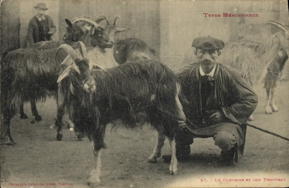 Der Schafhirte und seine Herde — Südliche Typen — Phototypie Labouche frères, Toulouse - Vorderseite