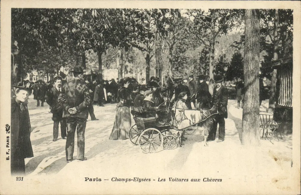 Paris — Champs-Élysées — Die Ziegenkutsche — B. F. Paris, n°231 - Vorderseite