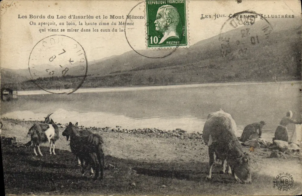 Les Bords du Lac d'Issarlès et le Mont Mézeno — vue du lac avec des chèvres et un bœuf, éditeur Les Hices-Cévennes Illustrées n°439 - Vorderseite