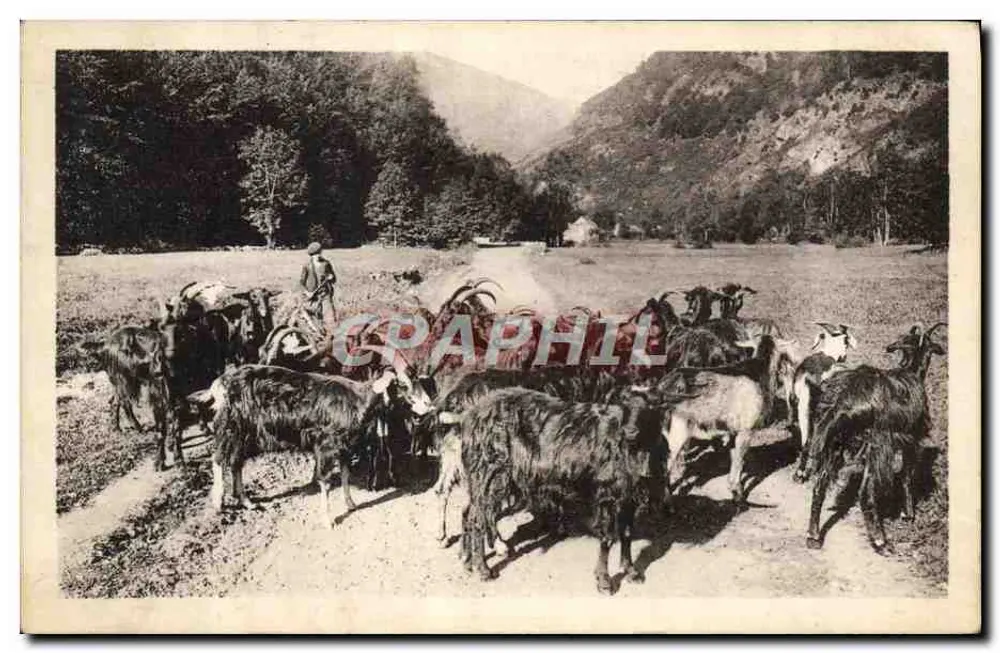 Luchon — O pastor das Montanhas — editor Luchon - Frente