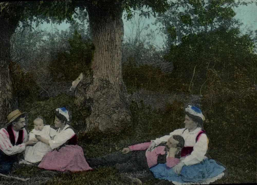 Família na floresta — sob uma grande árvore — cartão postal anônimo - Frente