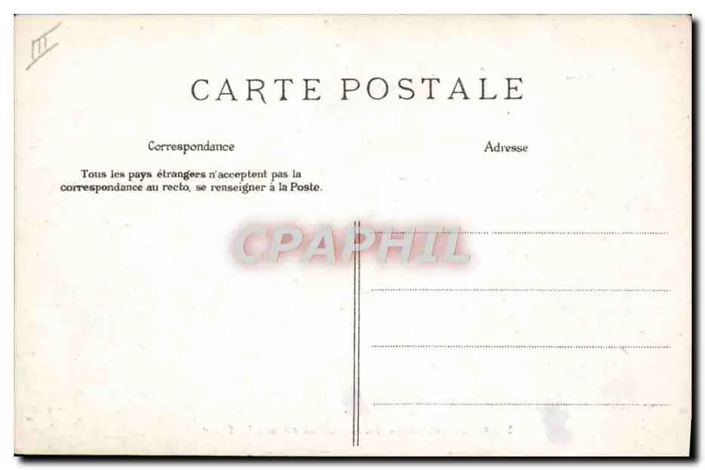 Família na floresta — sob uma grande árvore — cartão postal anônimo - Verso