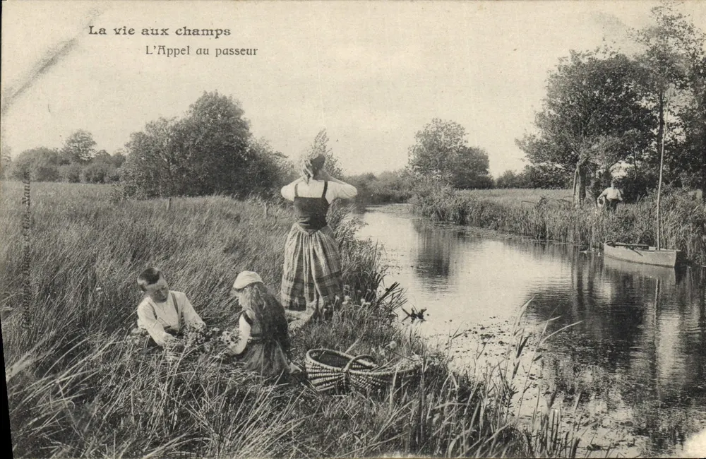 A vida nos campos — O Chamado ao barqueiro — Editor: O Amante de Cartas Postais - Frente