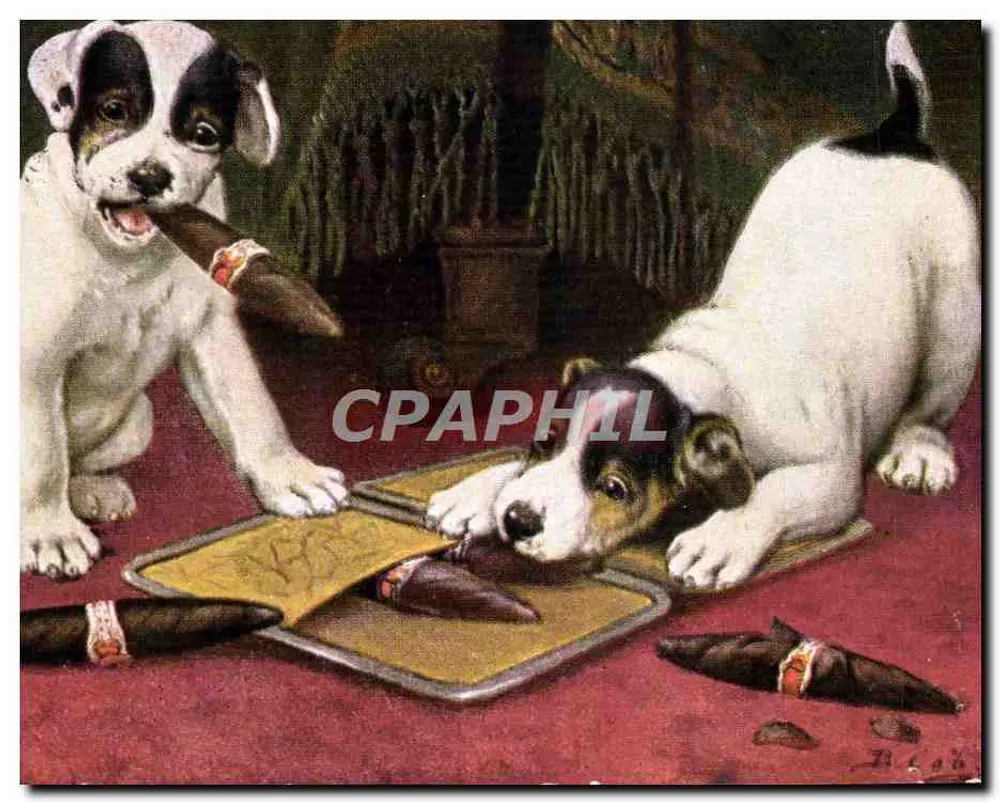 Zwei Welpen, die mit Zigarren spielen — Tuck's Post Card n°9352 - Vorderseite