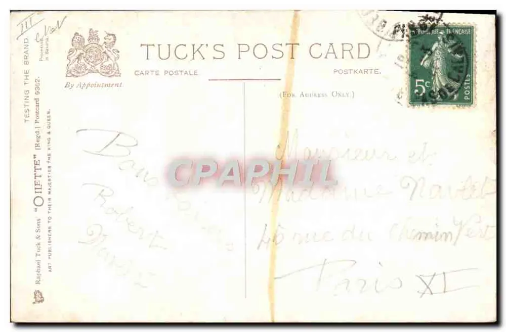 Zwei Welpen, die mit Zigarren spielen — Tuck's Post Card n°9352 - Rückseite