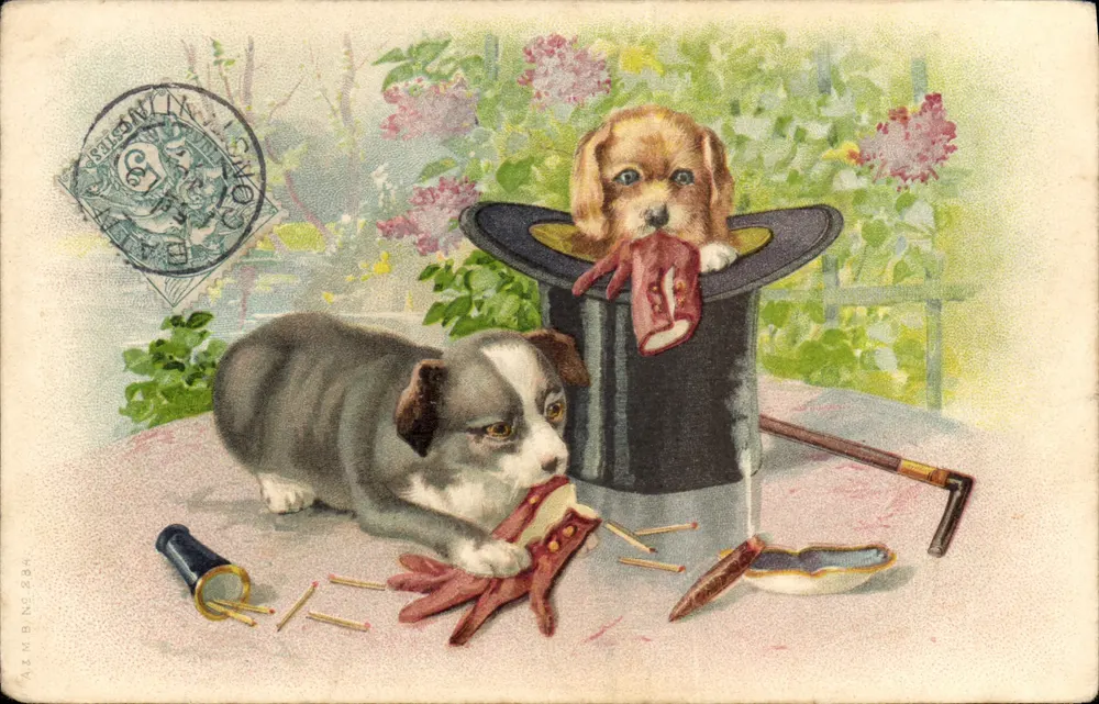Zwei Welpen in einer Zauberszene — Verlag A.M.B.N. Nr. 234 - Vorderseite