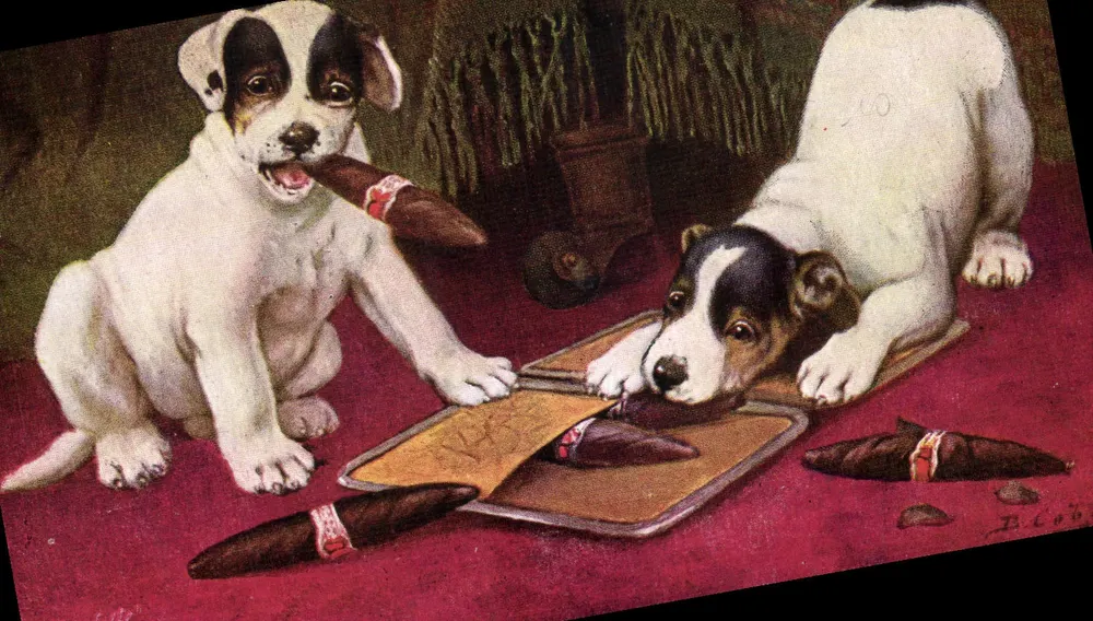 Dois filhotes brincando com cigarros — Raphael Tuck & Sons — N° 3564 - Frente