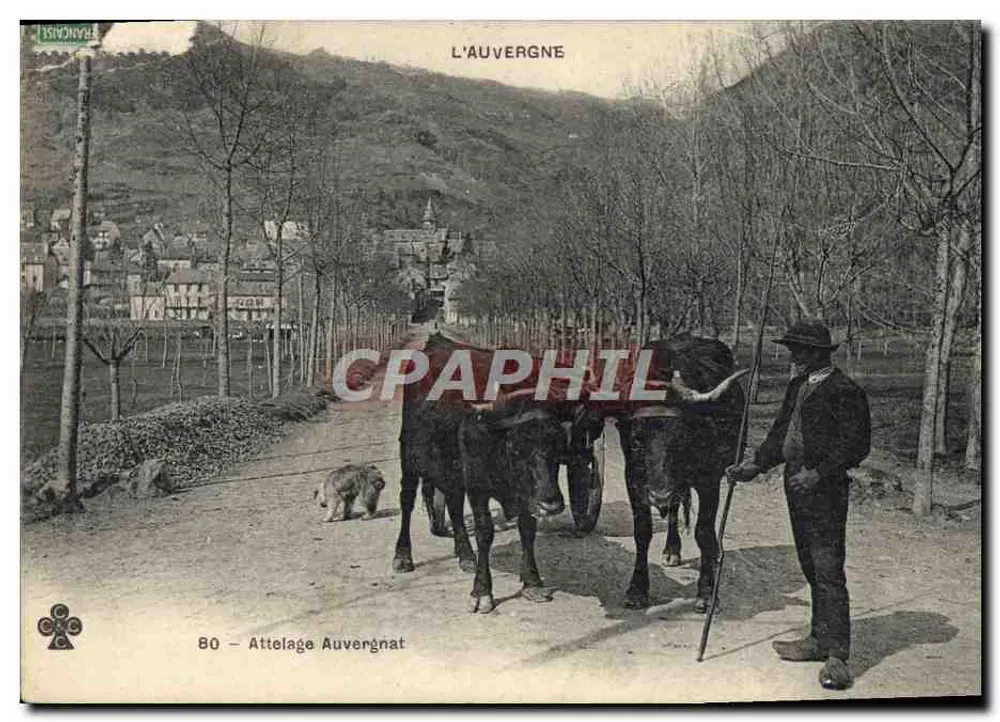 L'Auvergne — Attelage Auvergnat — editor J. Duvigneau, n° 80 - Frente