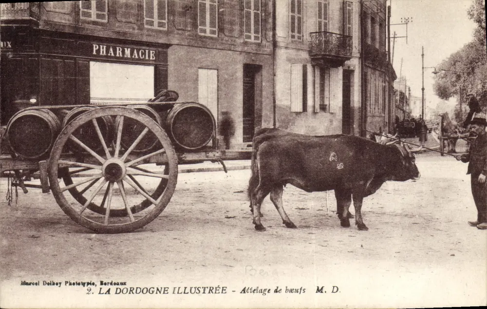 Oxenwagen — Bordeaux — J. Deibey Phototypie, Bordeaux - Vorderseite