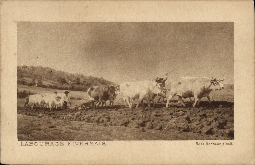 Labourage nivernais — Rosa Bonheur pinxit - Frente
