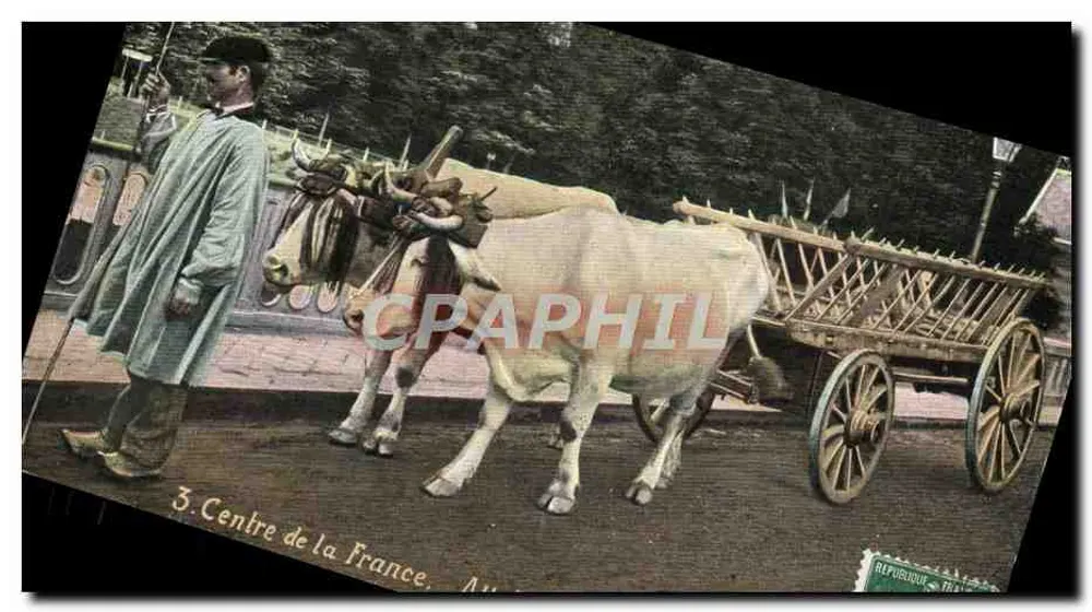 Ochsen, die ein Wagen ziehen — Zentrum Frankreichs — Aqua-Photo & Cie - Vorderseite