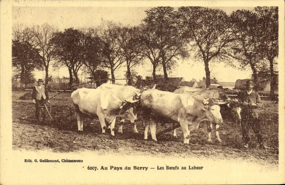 Im Land Berry — Die Ochsen beim Pflügen — Edit. G. Gulllemont, Châteaureux 6007 - Vorderseite