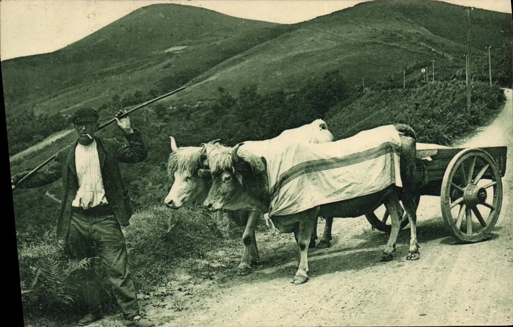 Operário com dois bovinos puxando uma carruagem — País Basco — Edição Annette Basque, n°205 - Frente