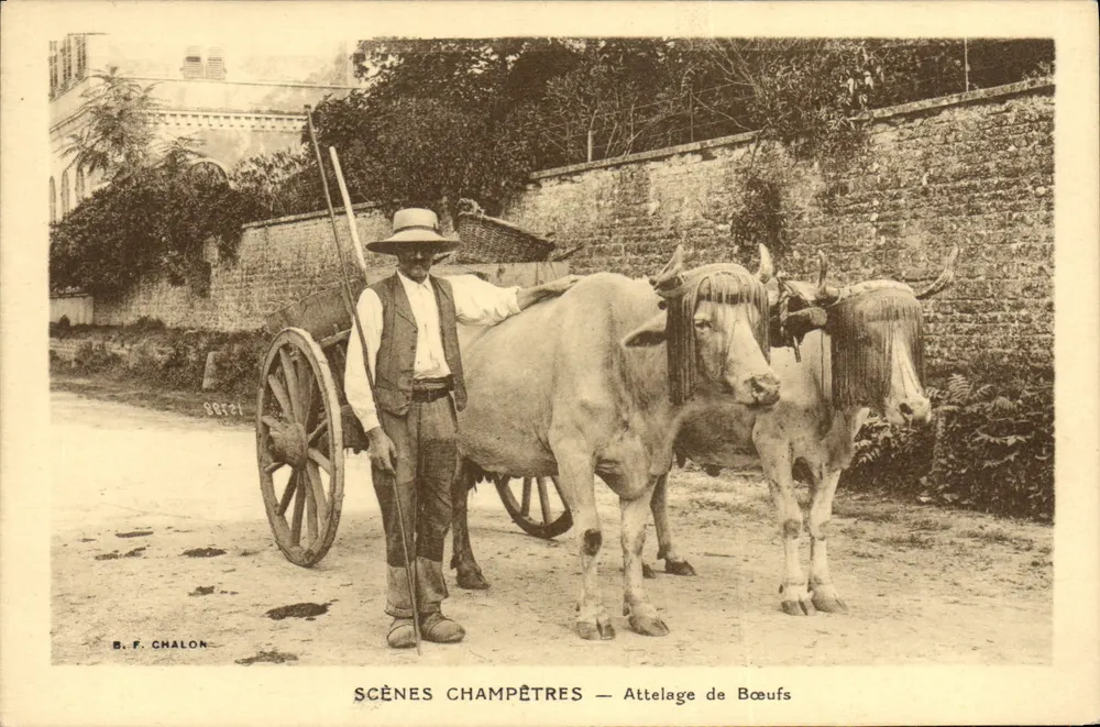 Cenas Campestres — Carroça de Bois — B. F. CHALON - Frente