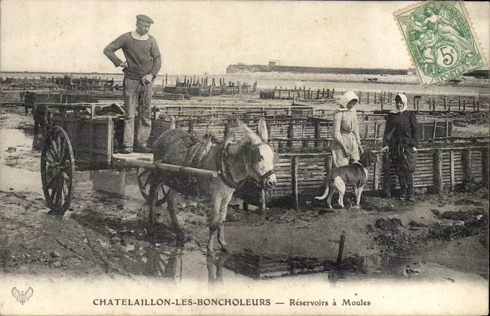 Chatelaillon-les-Boncholeurs — Muschelbecken - Vorderseite