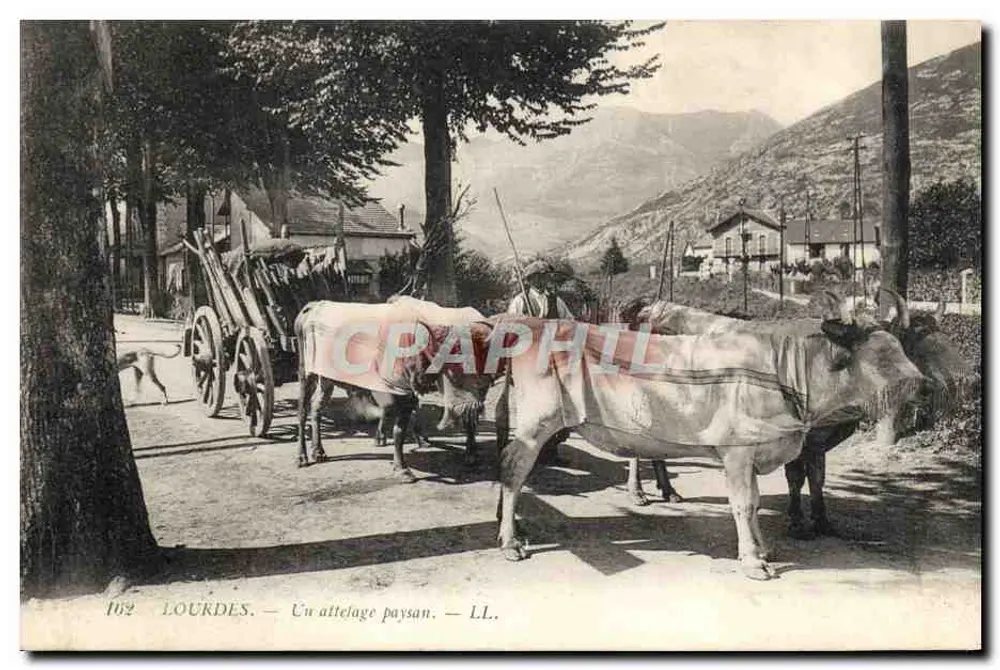 Lourdes — Ein Fuhrwerk eines Bauern — LL. - Vorderseite