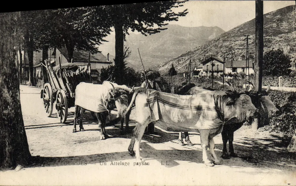Lourdes — Ein Bauernwagen — LL - Vorderseite