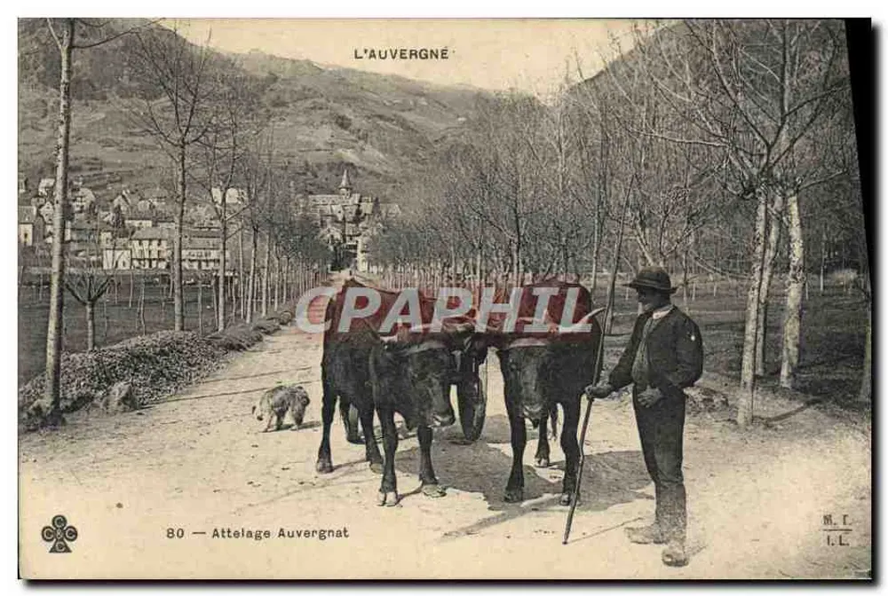 L'Auvergne — Auvergnatische Kutsche — M.C. I.L. Nr. 80 - Vorderseite