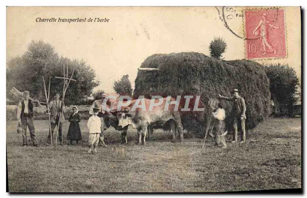 Carroça transportando grama — cena rural — editor não identificado - Frente