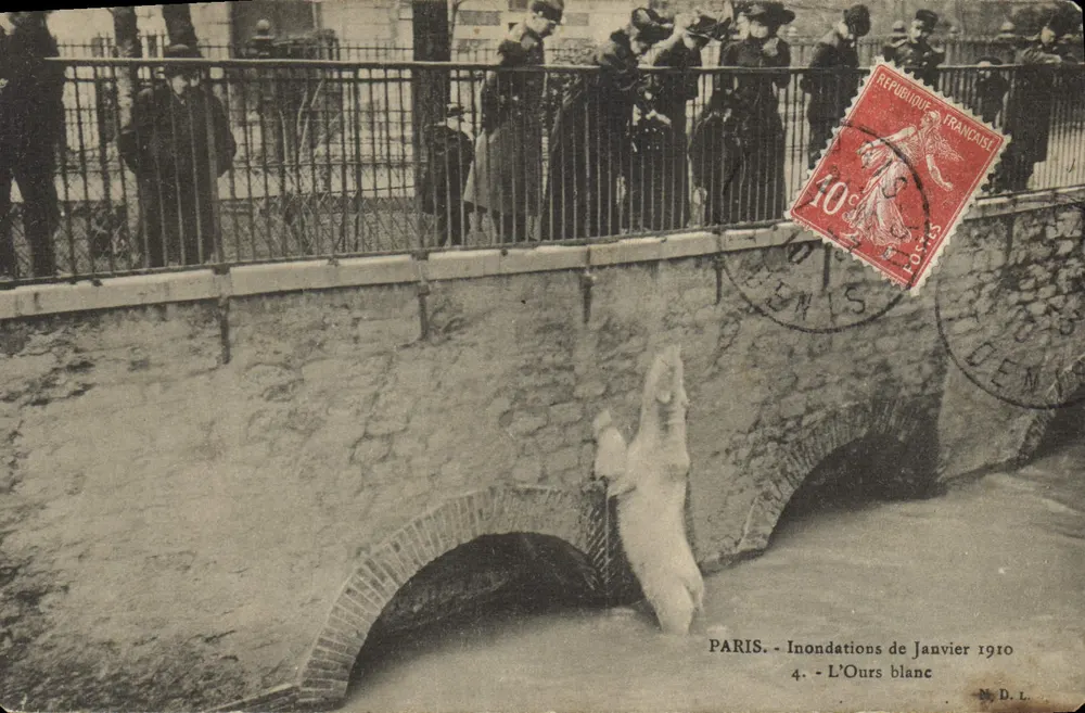 Paris - Überschwemmungen im Januar 1910 — Der Weiße Bär - Vorderseite