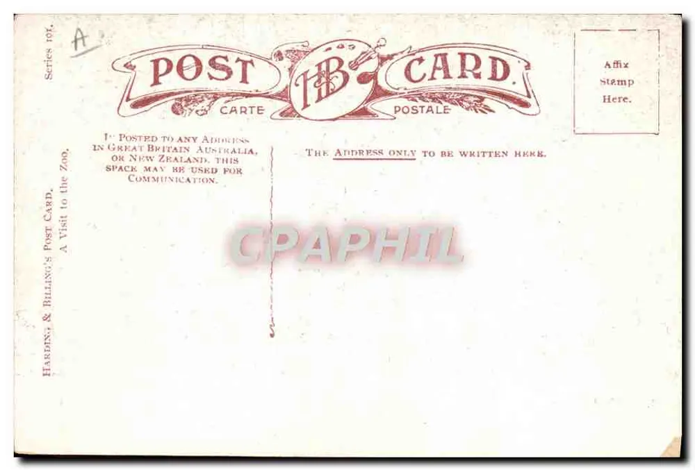 Visita ao Zoológico — Urso polar — Harding & Billing's Post Card, série 196 - Verso