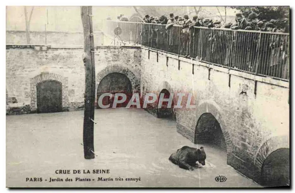 Paris - Jardin des Plantes - Martin sehr gelangweilt — Edition B.P.D. - Vorderseite