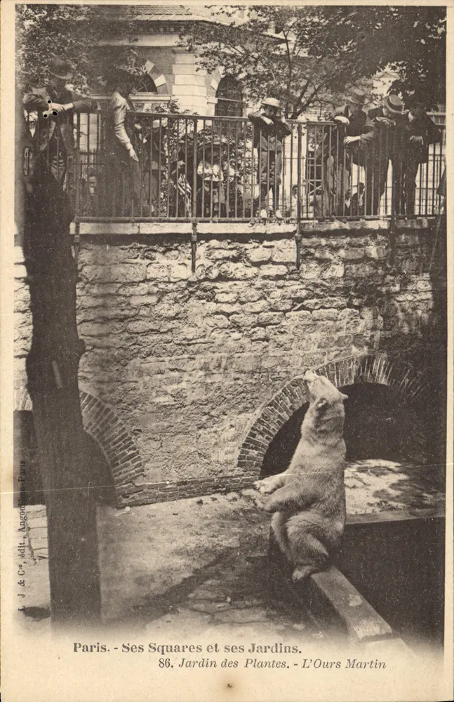 Paris - Seine Plätze und Gärten - 86. Jardin des Plantes - L'Ours Martin - Vorderseite