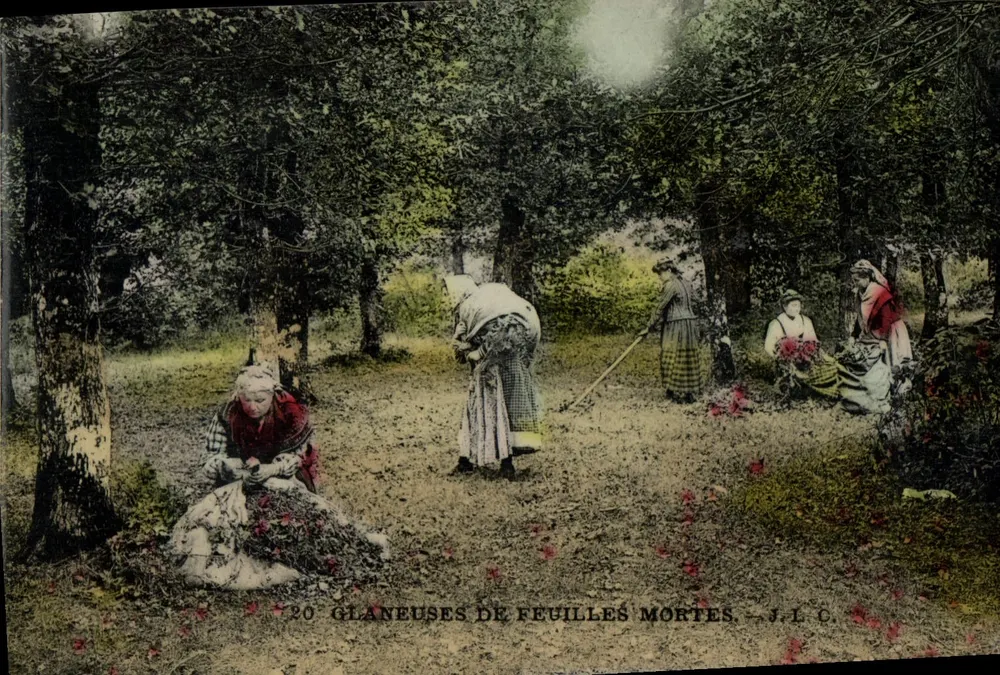 Colhedoras de folhas mortas — J.L.C. - Frente