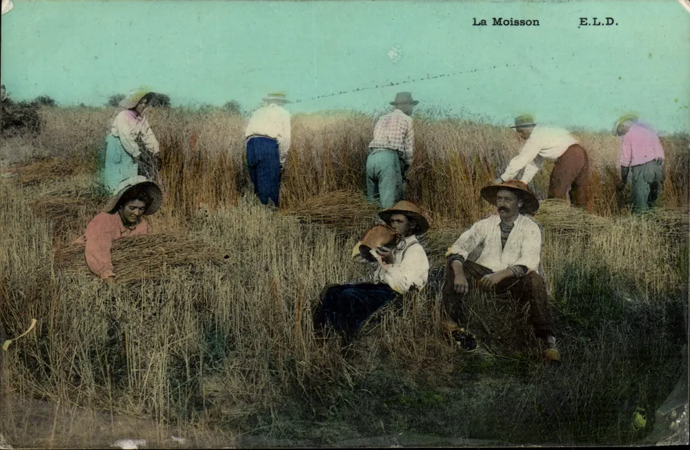 A Colheita — E.L.D. - Frente