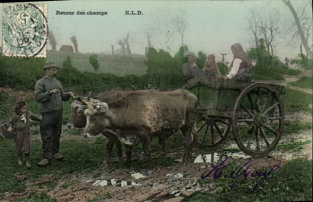 Retorno dos campos — E.L.D. — Editor E.L.D. - Frente