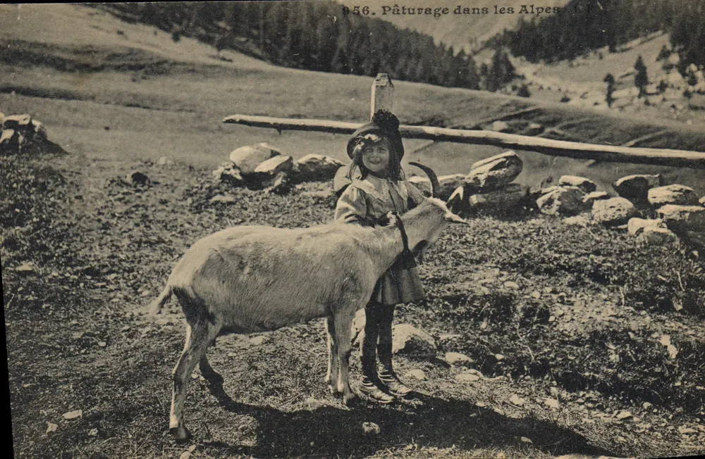 Weide in den Alpen — Serie 956 — Verlag unbekannt - Vorderseite