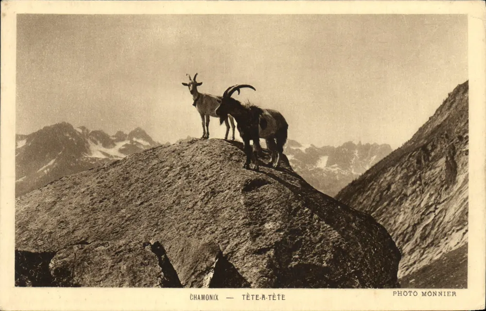 चमोनिक्स — टेट-ए-टेट — फोटो मॉनियर - आगे