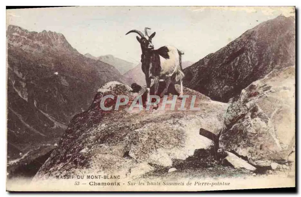 Massif du Mont-Blanc — Auf den hohen Gipfeln von Pierre-pointue — Chamonix, Nr. 53 - Vorderseite