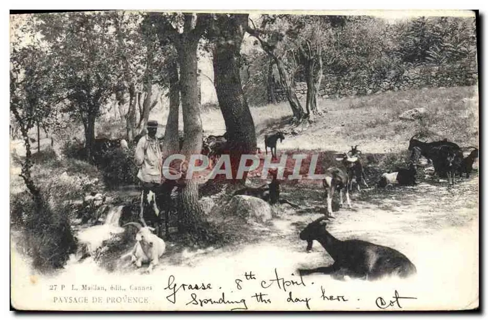 Paysage de Provence — scène de montagne avec chèvres et cascade — éditeur L. Maillan, édit., Cannes, n°27 P - Awers