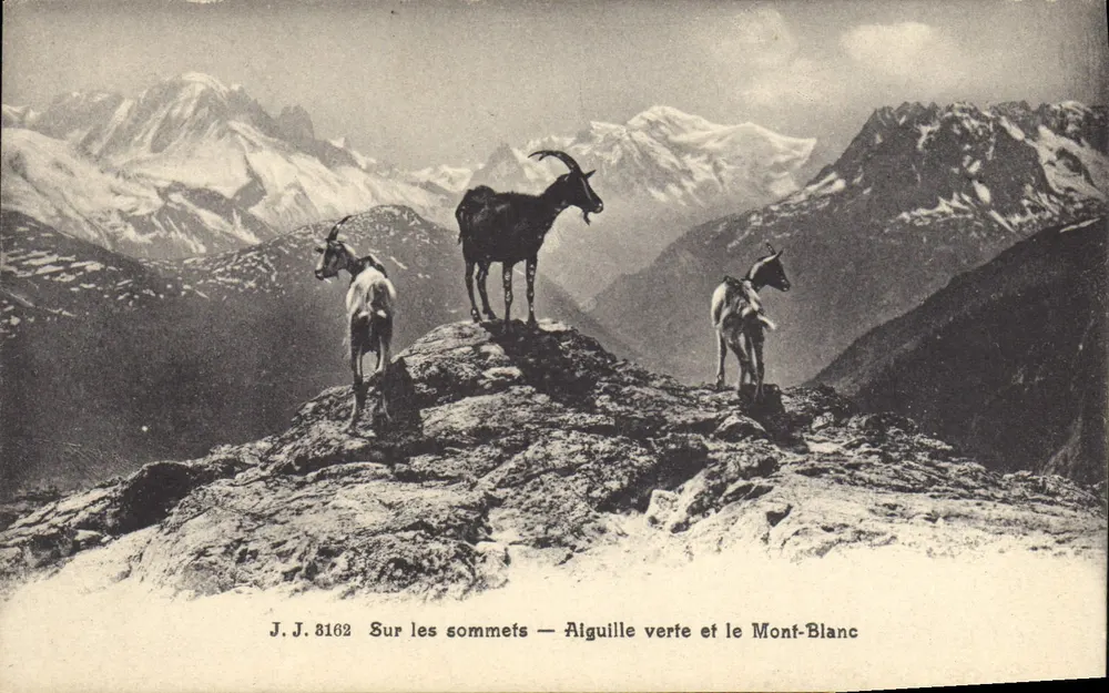 Auf den Gipfeln — Grünspitze und Mont-Blanc — J.J. 8162 - Vorderseite