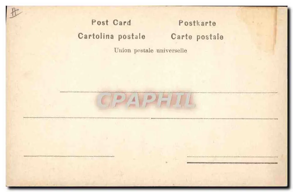 Jovem com cabelos cacheados — fumando um cachimbo — editor Alterocca Terni, n° 2419 - Verso
