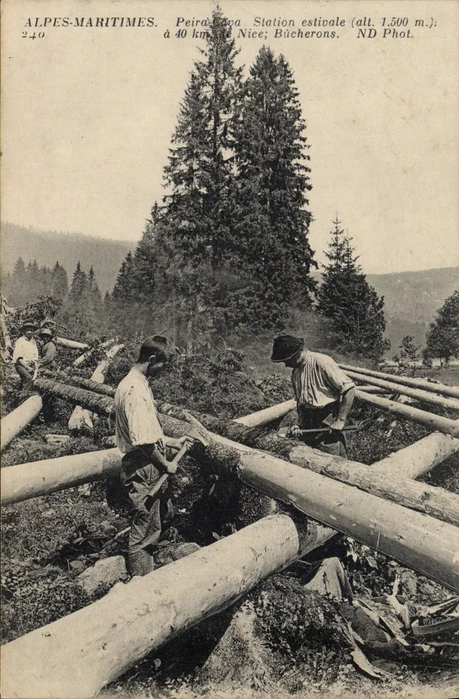 Peïra-Cava - Summer Station (alt. 1,500 m.) — ALPES-MARITIMES — ND Phot. n° 240
