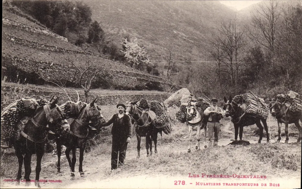 Die Pyrénées-Orientales — Holzhändler — Serie 278, Verlag Les Pyrénées-Orientales - Vorderseite