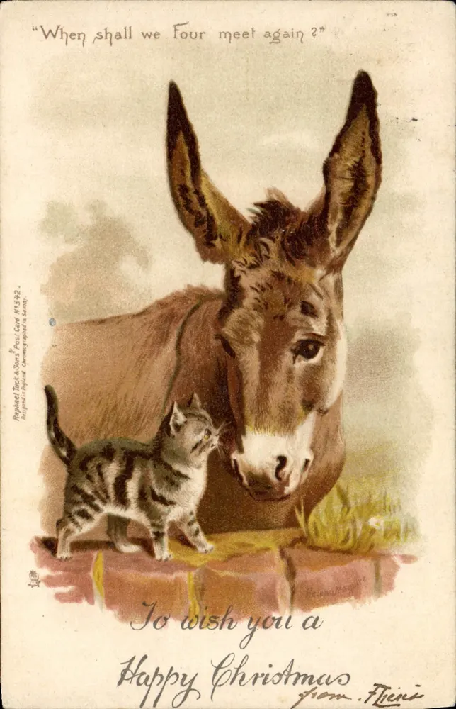 Gato e jumento — Natal — editor Raphael Tuck & Sons, N°1592 - Frente