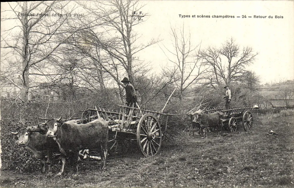 Retorno do Bois — Tipos e cenas campestres — 24 — Époque et Frères, editores em Vussel - Frente