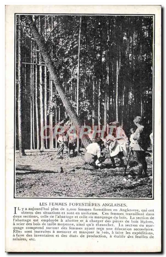 Mulheres Florestais Inglesas — Trabalho na Floresta — Editor Desconhecido - Frente